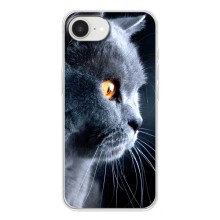 Чехлы с Котиками для iPhone 16е (VPrint) (Серый Кот)