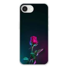 Чехлы с принтом Розочки для iPhone 16е – Ночная роза