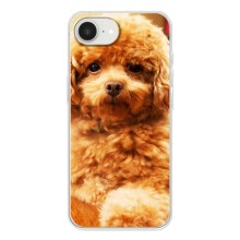 Чехлы с собаками для iPhone 16е (VPrint) (Щенок Бишон)