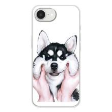 Бампер для iPhone 16е с картинкой "Песики" – Собака Хаски
