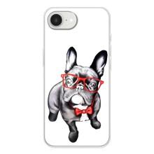 Бампер для iPhone 16е с картинкой "Песики" – В очках