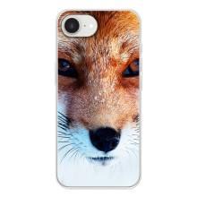 Чехол с Лисичкой для iPhone 16е – Рыжая Лисичка
