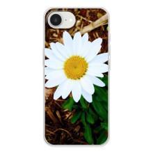 Чехол с ромашками на iPhone 16е – Белая ромашка
