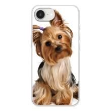 Чохол (ТПУ) Милі песики для iPhone 16е (Пес Терьєр)