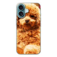 Чехлы с собаками для iPhone 17 Air (VPrint) (Щенок Бишон)