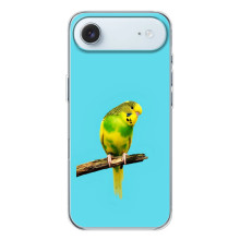 Силіконовий бампер з птичкою на iPhone 17 Air – Попугайчик