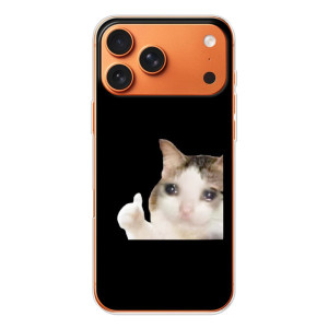 Бампер с принтом Мемы для iPhone 17 Pro Max (Кот в слезах)