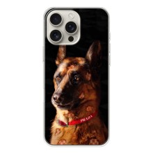 Чехлы с картинками животных iPhone 17 Pro Max (Овчарка)