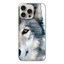 Чехлы с картинками животных iPhone 17 Pro Max (Волк)