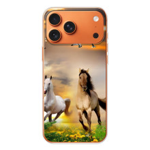 Чехлы с Лошадью дляiPhone 17 Pro Max (VPrint) (Лошадки)