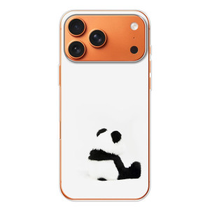 Чехлы с Пандами на iPhone 17 Pro Max – Панда обиделся