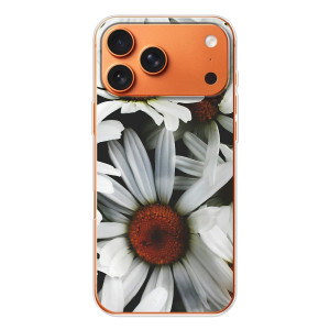 Чехол с ромашками на iPhone 17 Pro Max – Цветы Ромашки