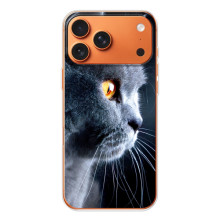 Чехол с милыми котиками на 