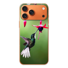 Силиконовый чехол с птичкой на iPhone 17 Pro Max – Калибри