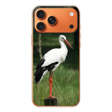 Силиконовый чехол с птичкой на iPhone 17 Pro Max – Лелека
