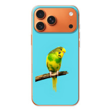 Силиконовый чехол с птичкой на iPhone 17 Pro Max – Попугайчик
