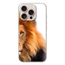 Чехлы с картинками животных iPhone 17 Pro (Лев грива)