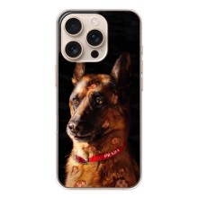 Чехлы с картинками животных iPhone 17 Pro (Овчарка)