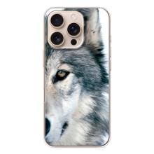 Чехлы с картинками животных iPhone 17 Pro (Волк)