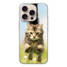 Чехлы с Котиками для iPhone 17 Pro (VPrint) (Прыжок кота)