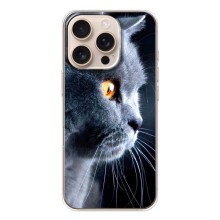 Чехлы с Котиками для iPhone 17 Pro (VPrint) (Серый Кот)