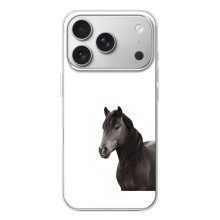 Чехлы с Лошадью дляiPhone 17 Pro (VPrint) (Черный Конь)