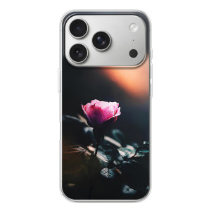 Чехлы с принтом Розочки для iPhone 17 Pro – Цветок ночной