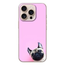 Чехлы с собаками для iPhone 17 Pro (VPrint) (Смешная собака)