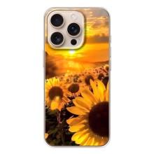 Чохол з Квітами для iPhone 17 Pro (поле соняшників)