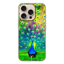 Чехол с птицами на iPhone 17 Pro (VPrint) (Яркий Павлин)