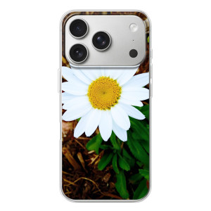 Чохол з ромашками на iPhone 17 Pro – Біла ромашка