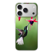 Силіконовий бампер з птичкою на iPhone 17 Pro – Калібрі