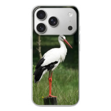 Силіконовий бампер з птичкою на iPhone 17 Pro