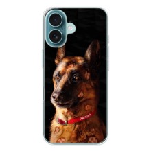 Чохли з картинкою животних iPhone 17 (Овчарка)