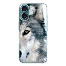 Чохли з картинкою животних iPhone 17 (Вовк)