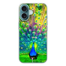 Чохол з пташками на iPhone 17 (VPrint) (Яскравий Павлин)