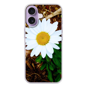 Чохол з ромашками на iPhone 17 – Біла ромашка