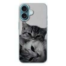 Чохол з малюнком кіт на iPhone 17 (Пара котів)