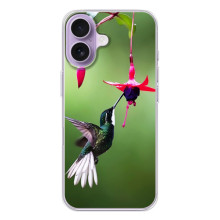 Силиконовый чехол с птичкой на iPhone 17