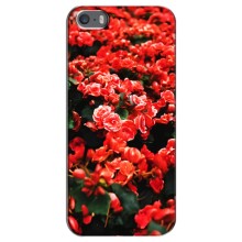 Чехлы с Цветами для iPhone 5 / 5s / SE (VPrint) (Цветы красные)