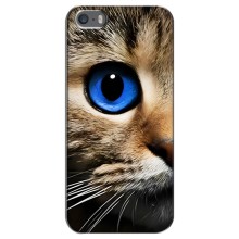 Чехлы с Котиками для iPhone 5 / 5s / SE (VPrint) (Глаз кота)