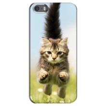 Чехлы с Котиками для iPhone 5 / 5s / SE (VPrint) (Прыжок кота)