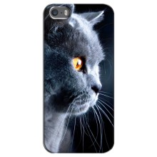 Чехлы с Котиками для iPhone 5 / 5s / SE (VPrint) (Серый Кот)