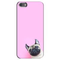 Бампер для iPhone 5 / 5s / SE с картинкой "Песики" (Собака на розовом)