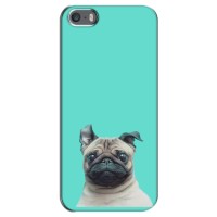 Бампер для iPhone 5 / 5s / SE с картинкой "Песики" – Собака Мопс