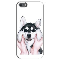 Бампер для iPhone 5 / 5s / SE с картинкой "Песики" – Собака Хаски