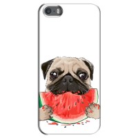 Чехол (ТПУ) Милые собачки для iPhone 5 / 5s / SE (Смешной Мопс)