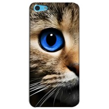 Чехлы с Котиками для iPhone 5c (VPrint) (Глаз кота)