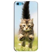 Чехлы с Котиками для iPhone 5c (VPrint) (Прыжок кота)