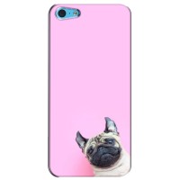 Бампер для iPhone 5c с картинкой "Песики" (Собака на розовом)